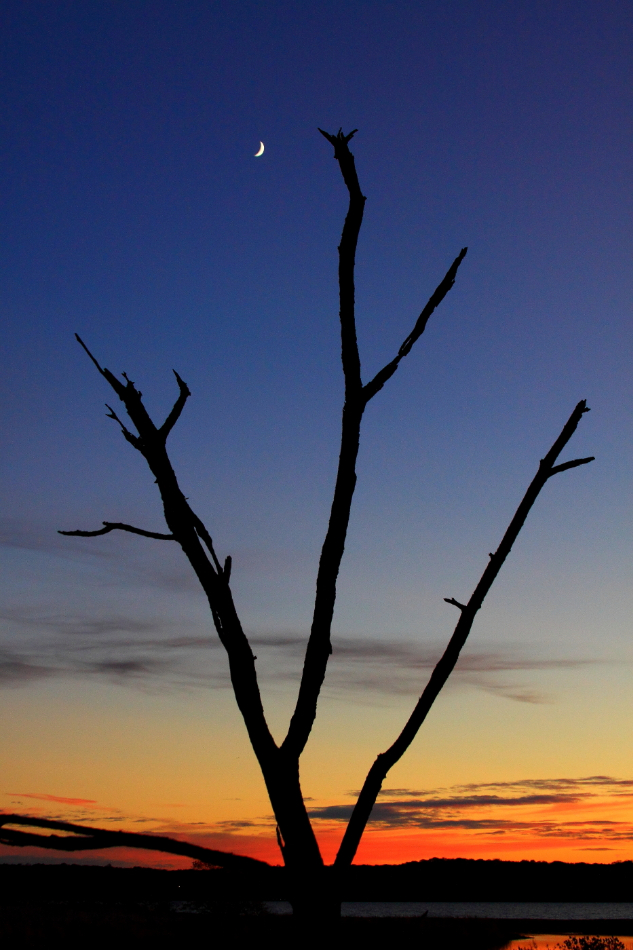 2010 11 10 IMG 15002
